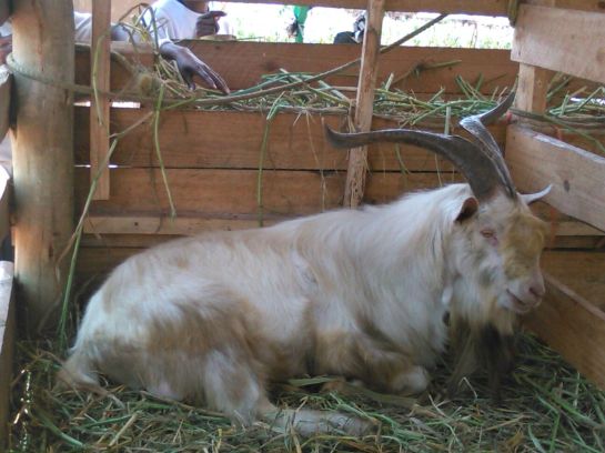 IMG-20150830-WA0006.jpg image