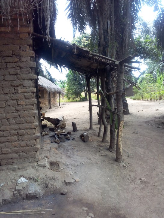 IMG_20150814_112252.jpg image