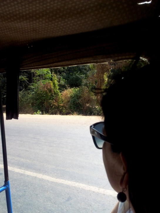 IMG_20150822_095800.jpg image