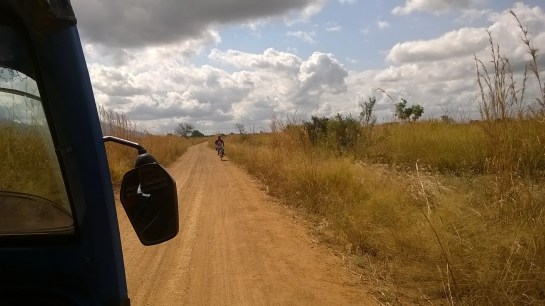 WP_20150822_014.jpg image