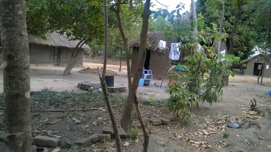 WP_20150822_033.jpg image